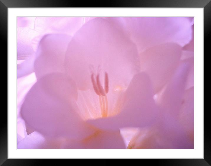Lilac Mood Framed Mounted Print by james richmond