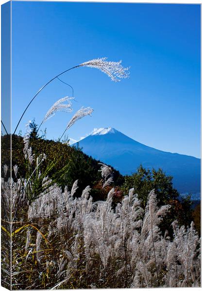 Mount Fuji Canvas Print by Chris Gilloch