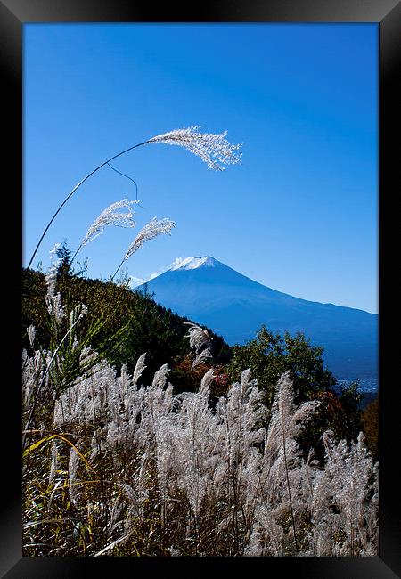 Mount Fuji Framed Print by Chris Gilloch