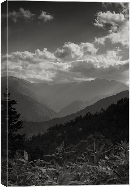 Japanese landscape Canvas Print by Chris Gilloch