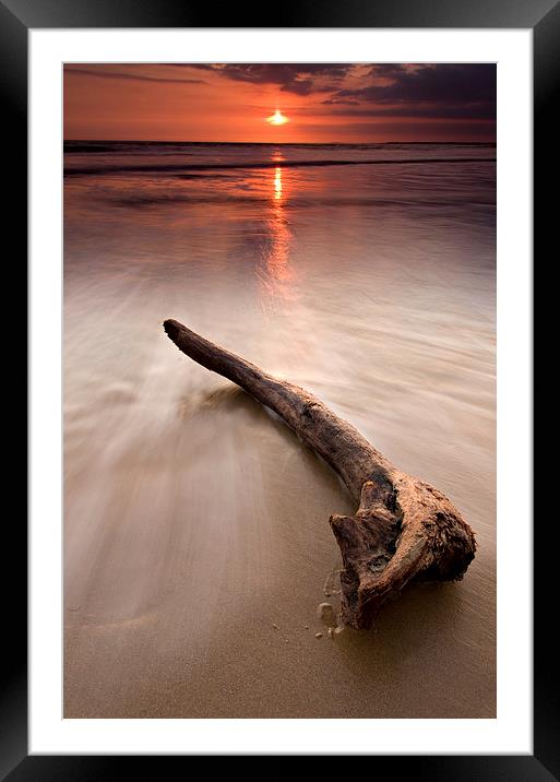 Driftwood at sunset Framed Mounted Print by David Stephens