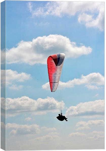 up up and away Canvas Print by Neil Ravenscroft