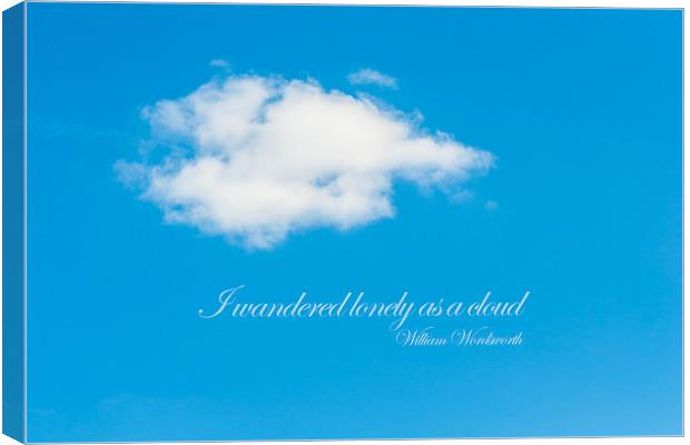 I Wandered Lonely As A Cloud Canvas Print by Steve Purnell