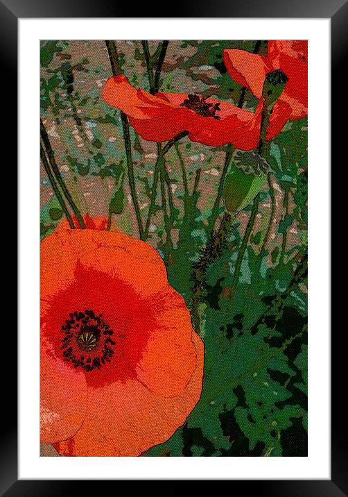 POPPY POWER 1 Framed Mounted Print by Jacque Mckenzie