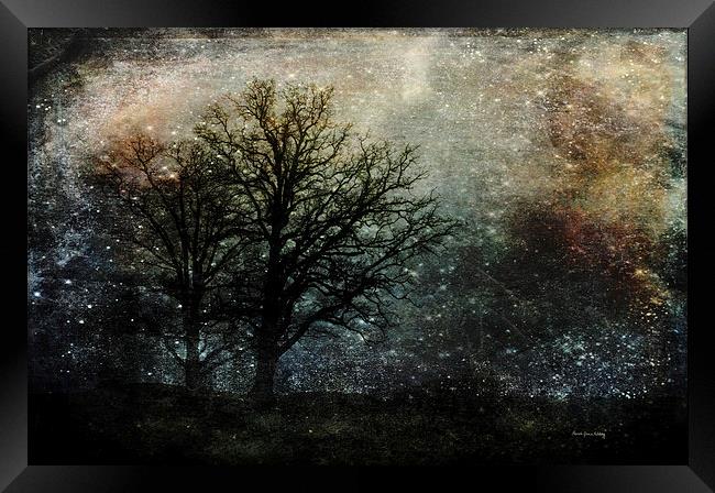 Starry Night Framed Print by Randi Grace Nilsberg