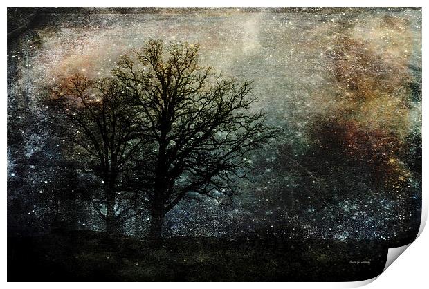 Starry Night Print by Randi Grace Nilsberg
