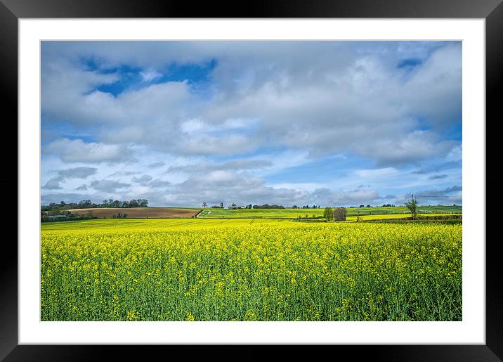 Some yellow...some blue Framed Mounted Print by