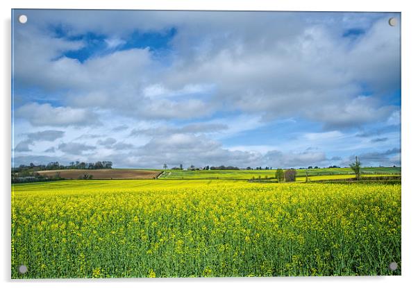 Some yellow...some blue Acrylic by