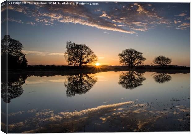 Spring Sunrise Canvas Print by Phil Wareham