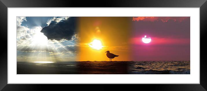 3x Sun Framed Mounted Print by Harry Hadders