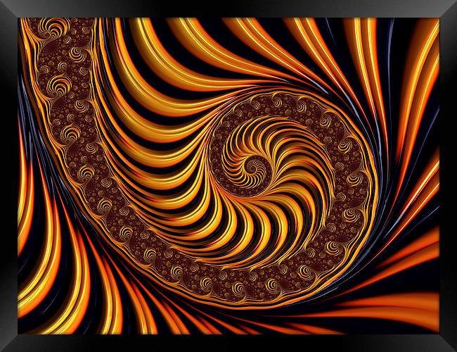 Golden fractal spiral Framed Print by Matthias Hauser