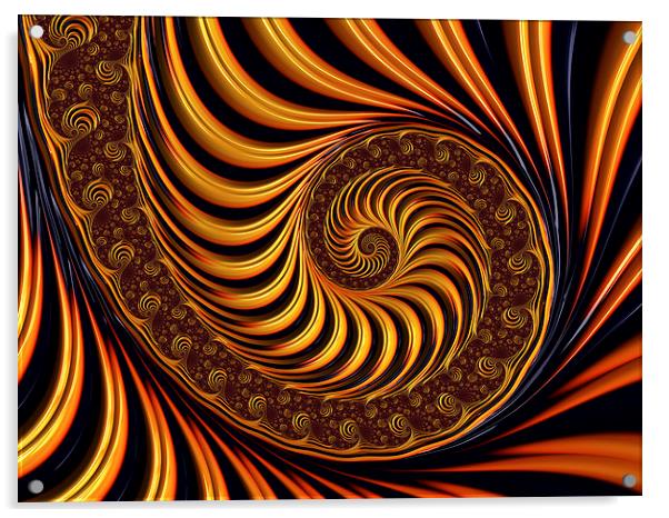 Golden fractal spiral Acrylic by Matthias Hauser