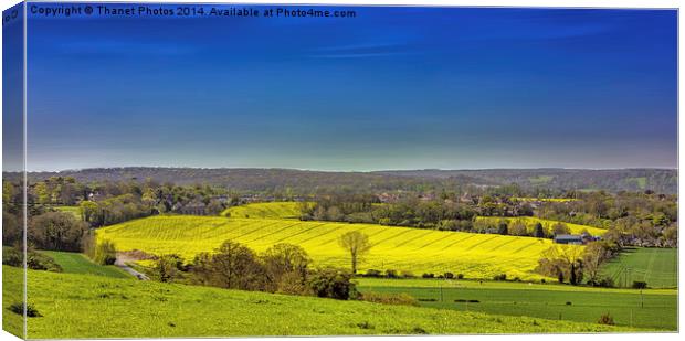 The downs Canvas Print by Thanet Photos