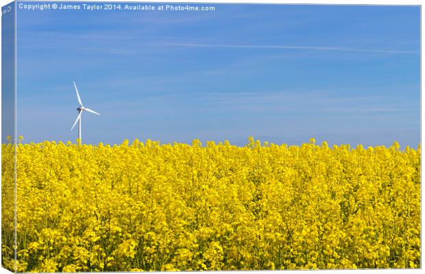 Wind Turbine in field of yellow Canvas Print by James Taylor