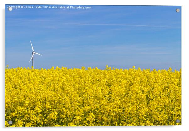 Wind Turbine in field of yellow Acrylic by James Taylor