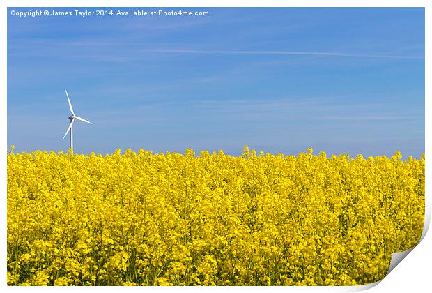 Wind Turbine in field of yellow Print by James Taylor