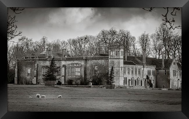 Lacock Abbey, Wiltshire, England, UK Framed Print by Mark Llewellyn