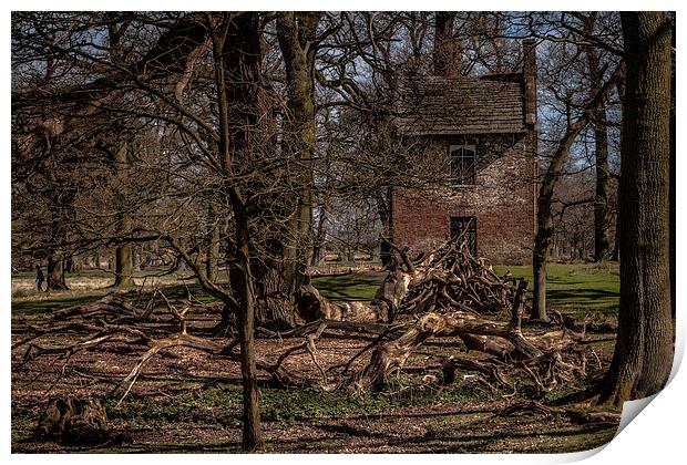 The Woodcutters House Print by Sean Wareing
