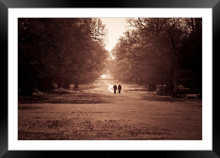 A Spring Stroll Framed Mounted Print by Sean Wareing
