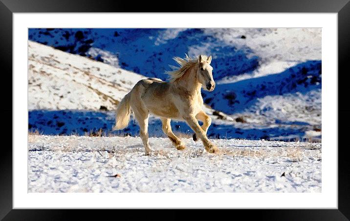 HORSE RUNNING in SNOW Framed Mounted Print by Larry Stolle