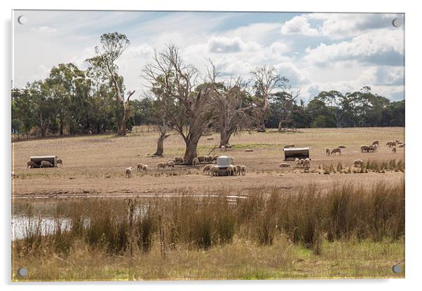 Australian Rural Scene, Kilmore Acrylic by Pauline Tims
