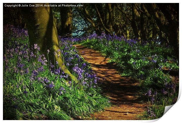 Bunkers Hill Bluebells Print by Julie Coe
