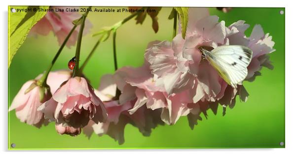 Blossom and Bugs Acrylic by Sharon Lisa Clarke