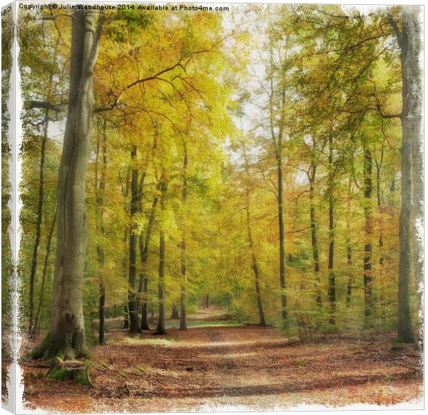 Autumn forest Canvas Print by Julie Woodhouse