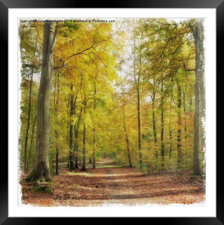 Autumn forest Framed Mounted Print by Julie Woodhouse