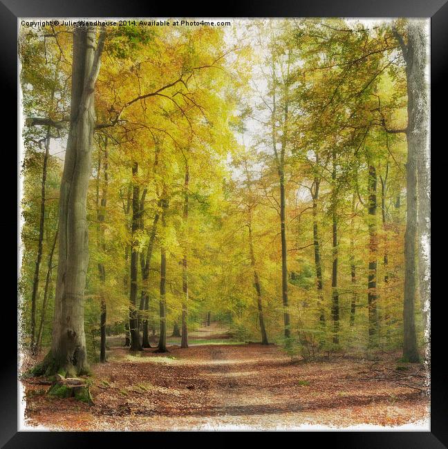 Autumn forest Framed Print by Julie Woodhouse