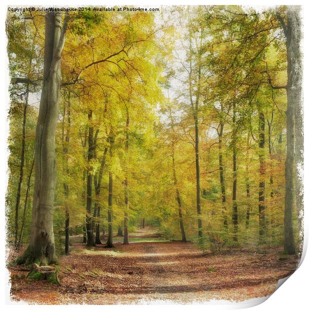 Autumn forest Print by Julie Woodhouse