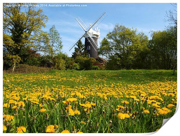 Wray Common Windmill Print by Andy Huntley