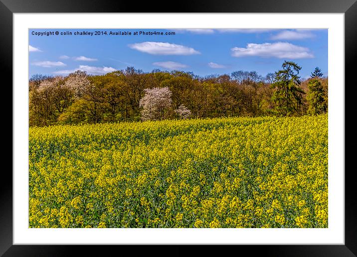 Springtime in England Framed Mounted Print by colin chalkley