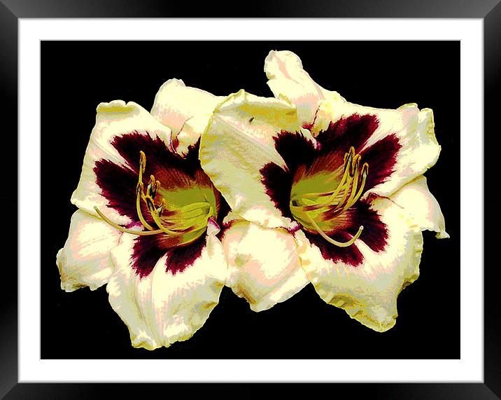 Two Lillies Framed Mounted Print by james balzano, jr.