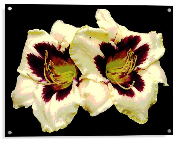 Two Lillies Acrylic by james balzano, jr.