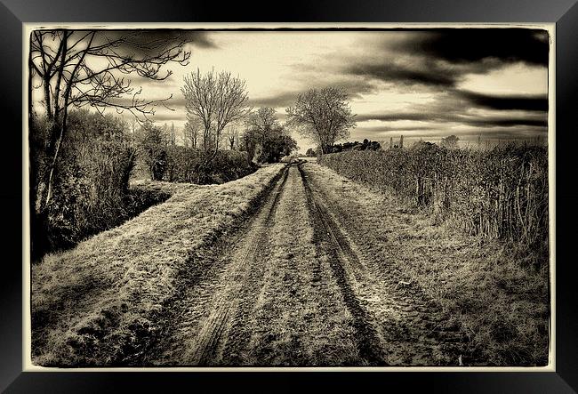 Countryside Serenity Framed Print by Trevor Camp