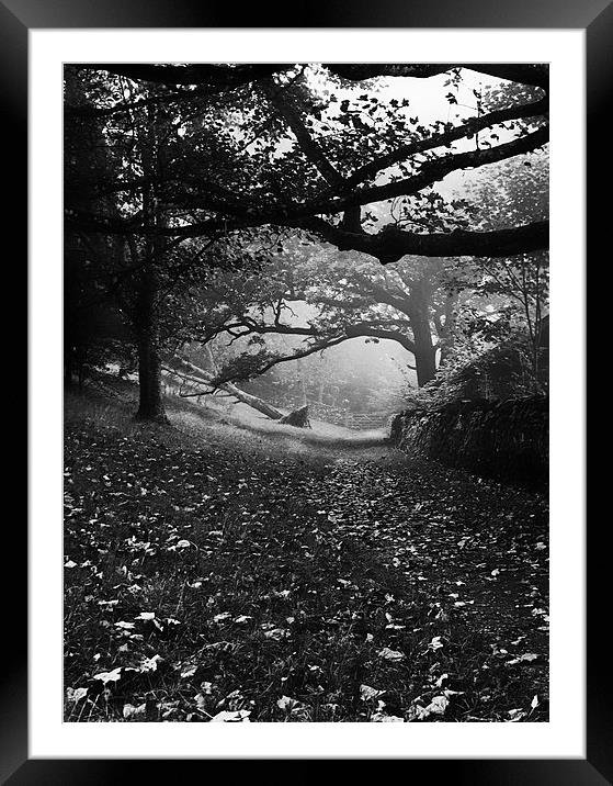 Rayrigg Meadow Framed Mounted Print by Paul Want