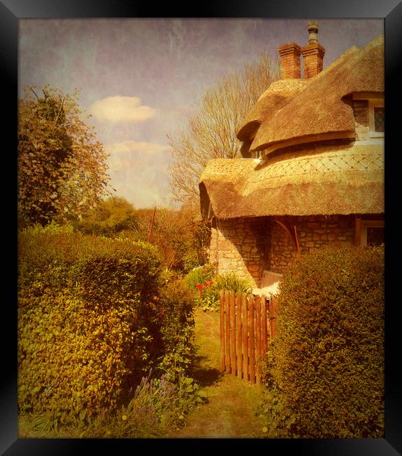 The Cottage Garden. Framed Print by Heather Goodwin