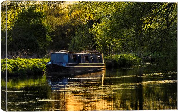 Evening on the Kennet Canvas Print by Ian Lewis