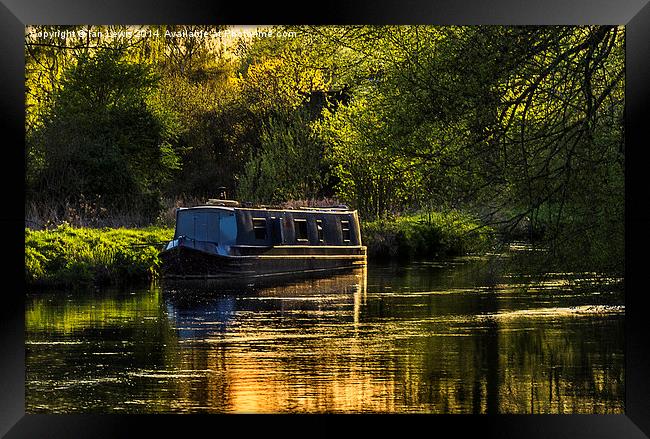 Evening on the Kennet Framed Print by Ian Lewis