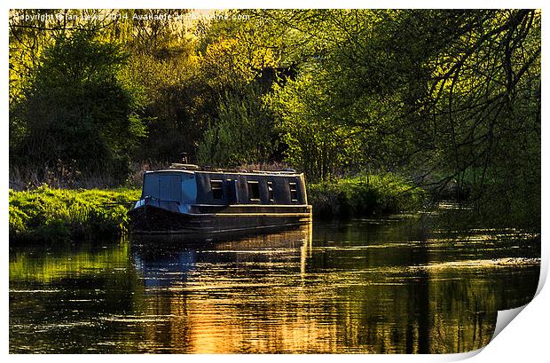 Evening on the Kennet Print by Ian Lewis