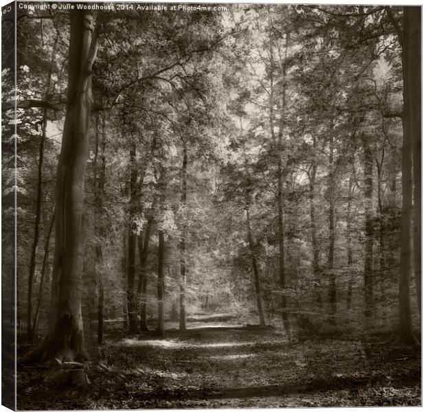 into the trees Canvas Print by Julie Woodhouse