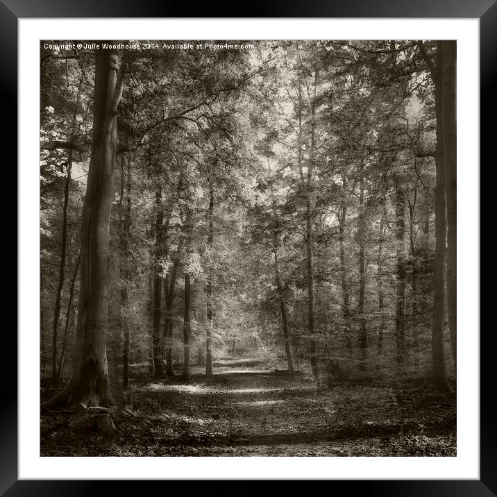 into the trees Framed Mounted Print by Julie Woodhouse
