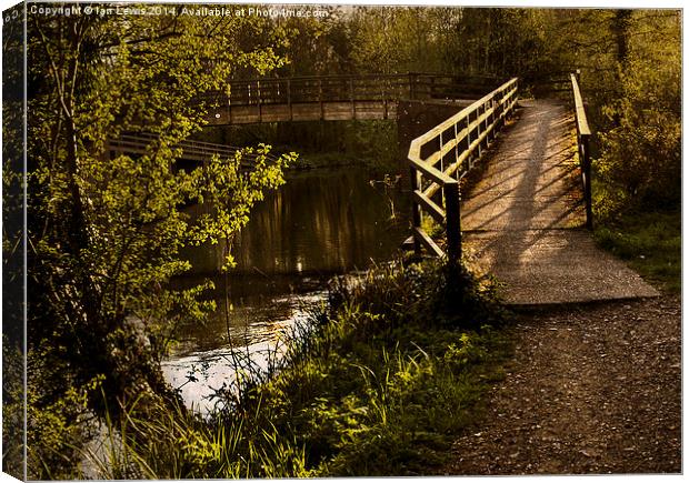 Footbridge over the Kennet Canvas Print by Ian Lewis