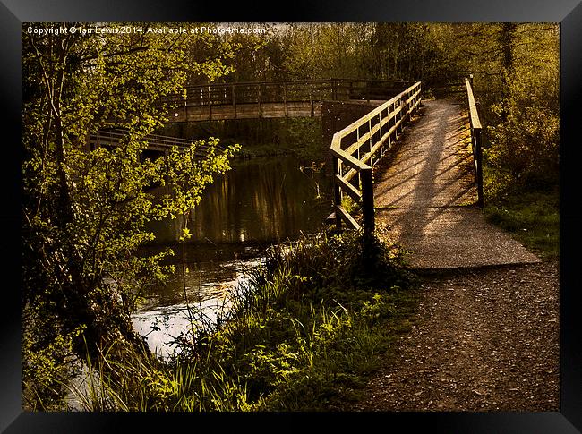 Footbridge over the Kennet Framed Print by Ian Lewis