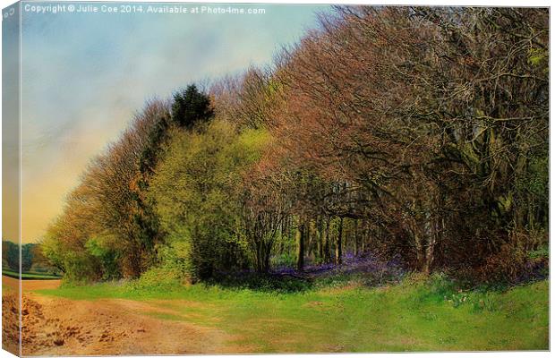 Bluebell Wood Canvas Print by Julie Coe