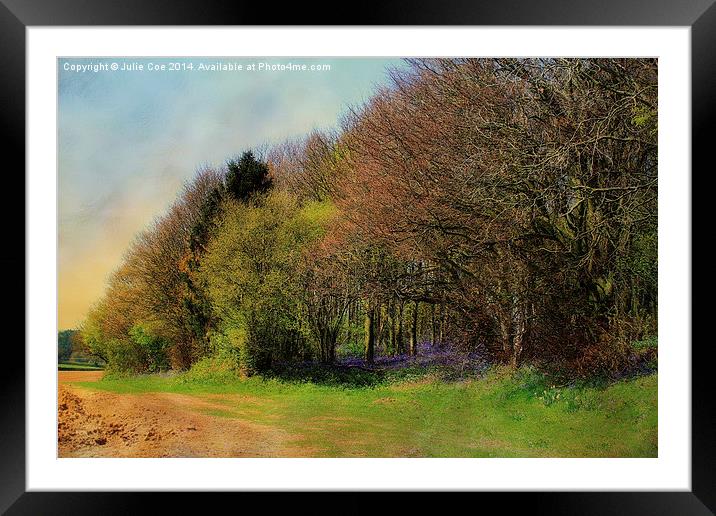 Bluebell Wood Framed Mounted Print by Julie Coe