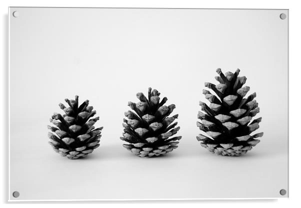 Pine Cone Trio Acrylic by Jason Moss