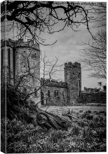 Torre Abbey Torquay Canvas Print by Tracey Yeo