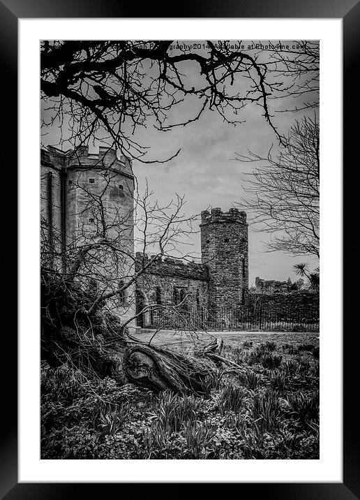 Torre Abbey Torquay Framed Mounted Print by Tracey Yeo